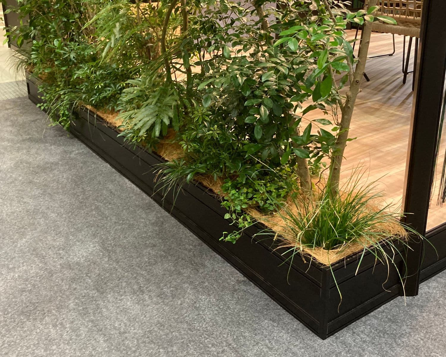 オフィス空間 植栽